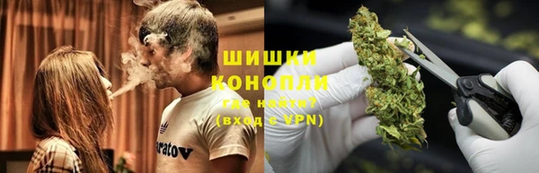 шишки Армянск