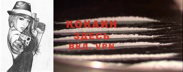 шишки Армянск